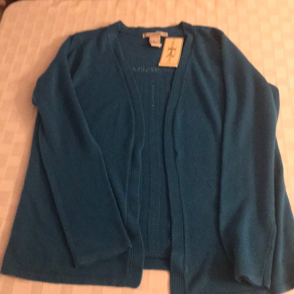 Teal sparkly sweater/shirt combo